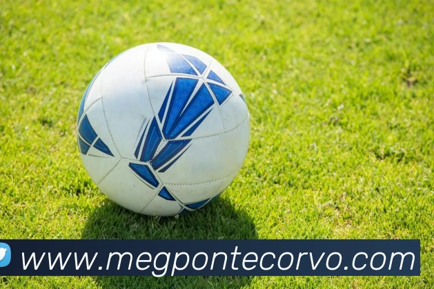 金年会体育在线入口APP 高清赛事图